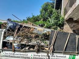 Best Retail Junk Removal  in , AZ