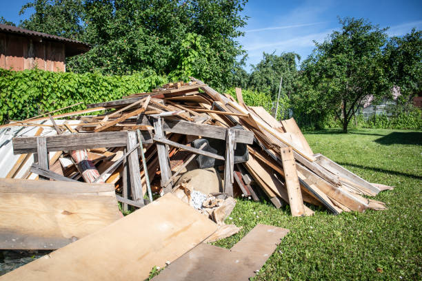 Best Shed Removal  in , AZ